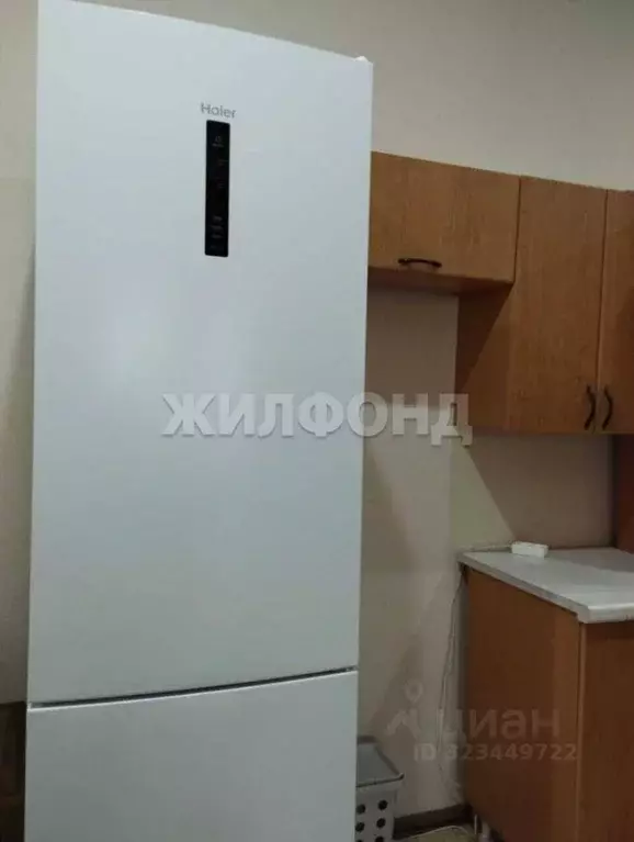 1-к кв. Новосибирская область, Новосибирск Золотодолинская ул., 33 ... - Фото 2