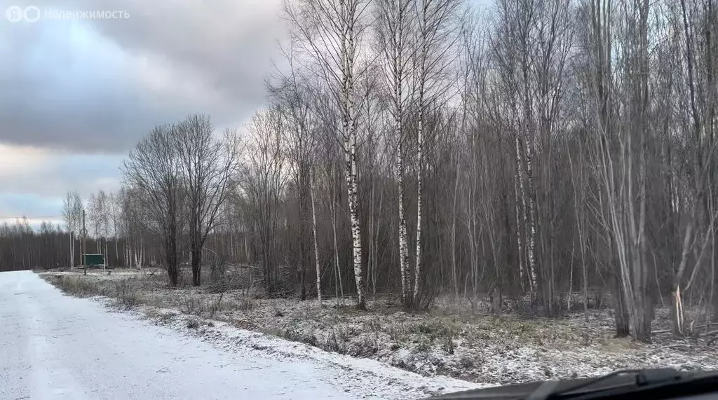 Участок в Череповецкий район, муниципальное образование Югское, ... - Фото 0