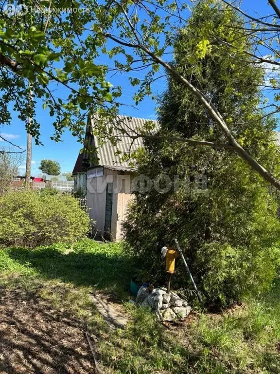 Участок в Томск, СТ Коммунальщик, Абрикосовая улица (4 м) - Фото 2