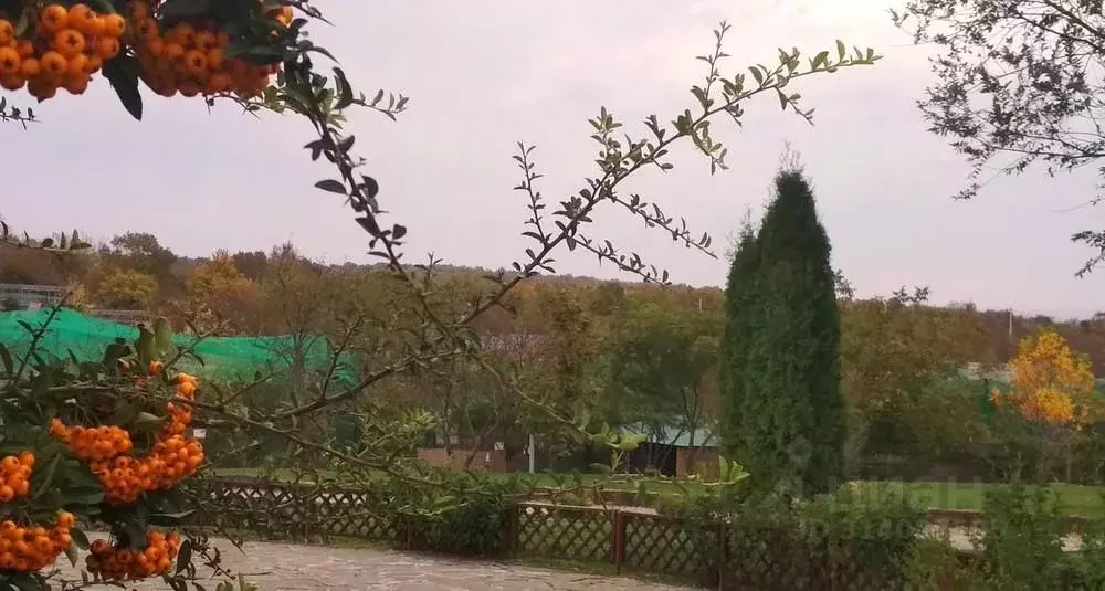 Дом в Краснодарский край, Новороссийск городской округ, Натухаевская ... - Фото 1