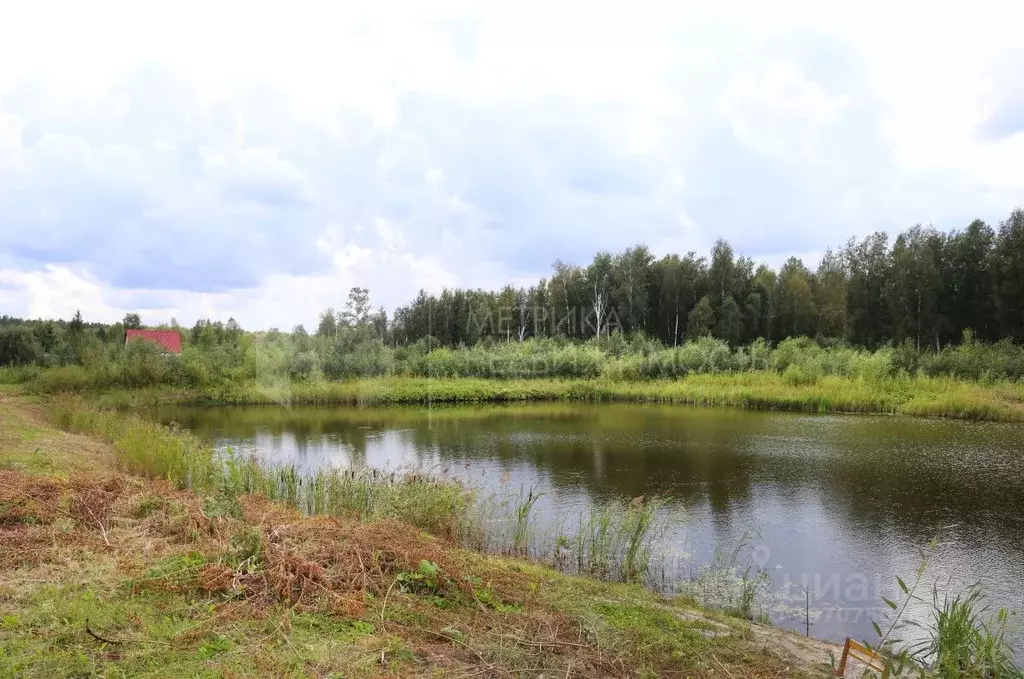 Участок в Тюменская область, Тюмень городской округ, Сосновая Поляна ... - Фото 0