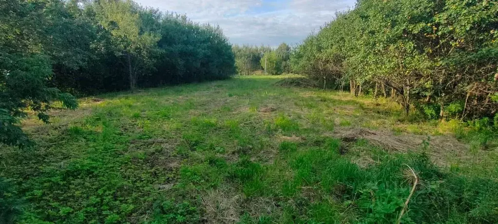 Участок, 20.5 сот., поселения (ижс) - Фото 1