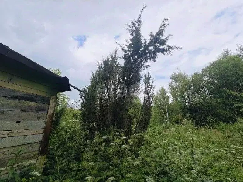 Участок в Калужская область, Калуга городской округ, д. Лихун ул. 1-я ... - Фото 2