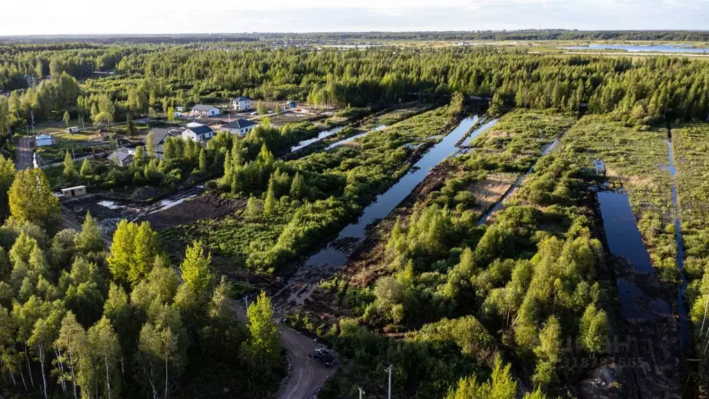 Участок в Ленинградская область, Всеволожск ш. Южное (6.0 сот.) - Фото 1