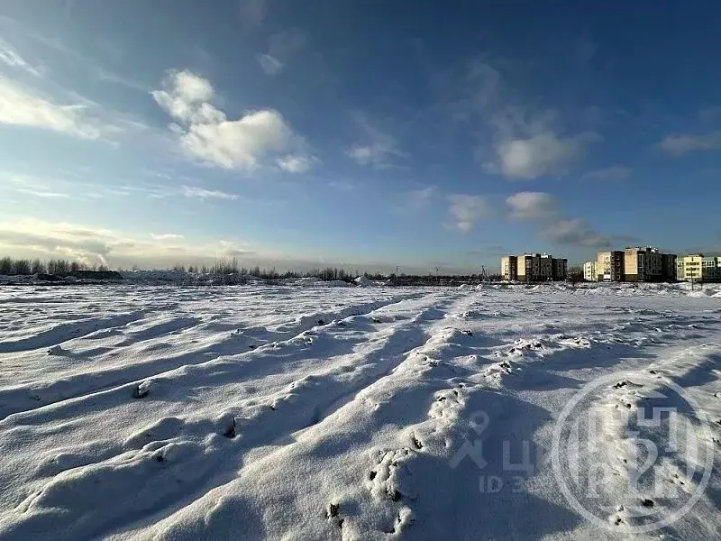 Участок в Ленинградская область, Колтуши Всеволожский район, ул. ... - Фото 2