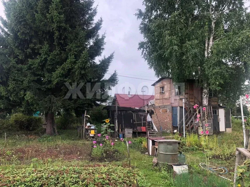 Участок в Новосибирская область, Новосибирский район, Верх-Тулинский ... - Фото 1