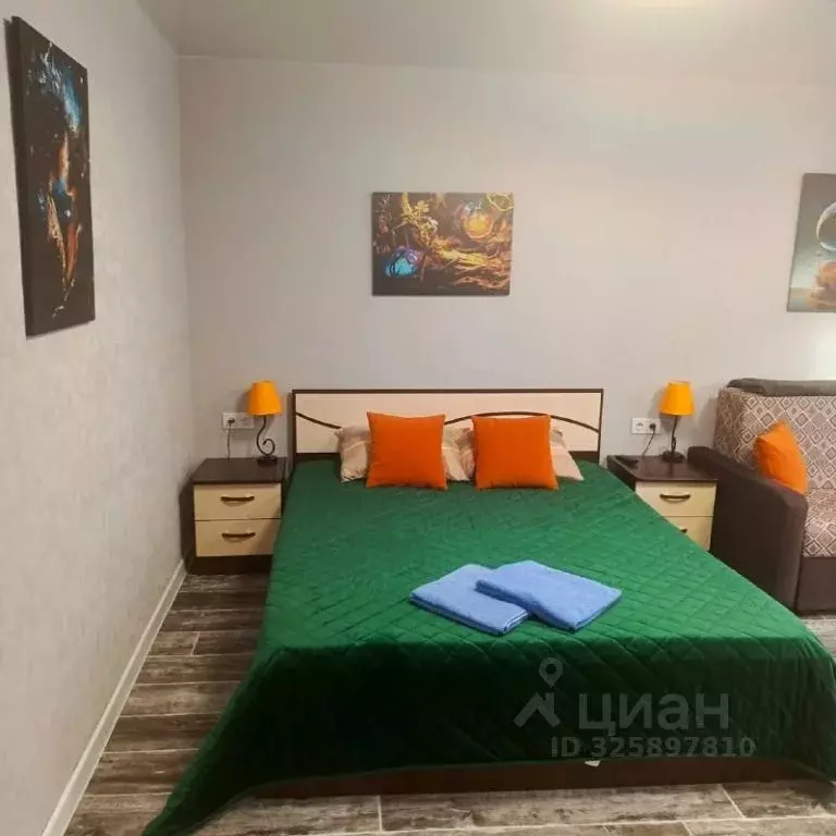 1-к кв. Хакасия, Черемушки рп 8 (29.0 м) - Фото 1