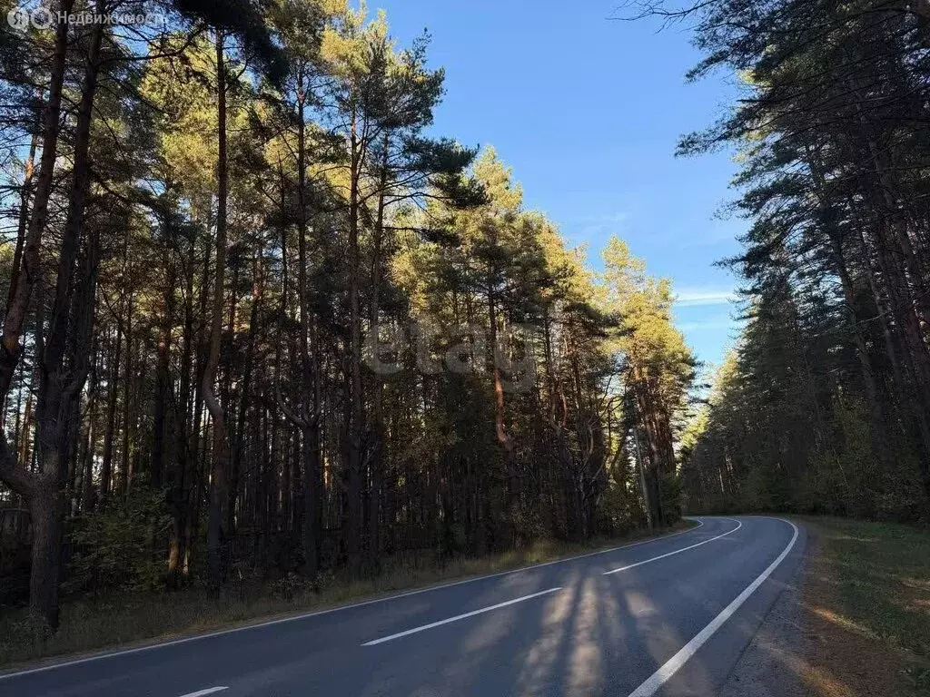 Дом в деревня Рябеево, коттеджный посёлок Новое Рябеево (174.6 м) - Фото 2