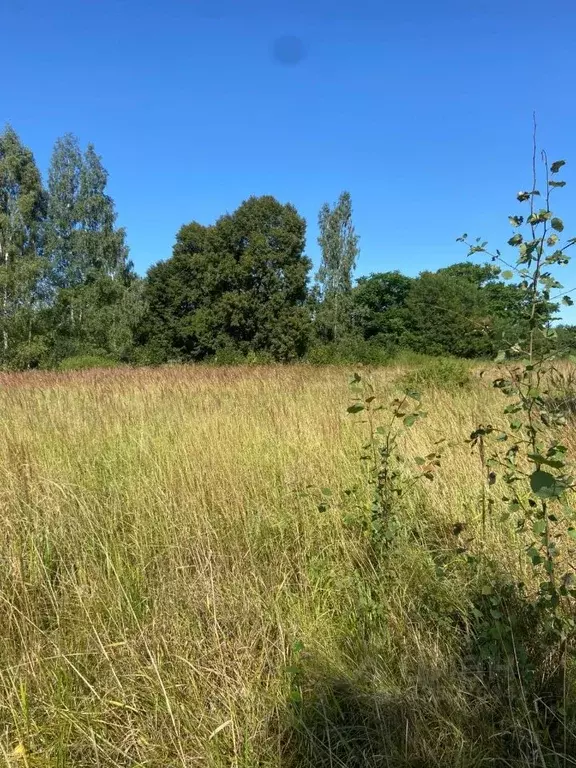 Участок в Московская область, Можайский муниципальный округ, д. ... - Фото 1