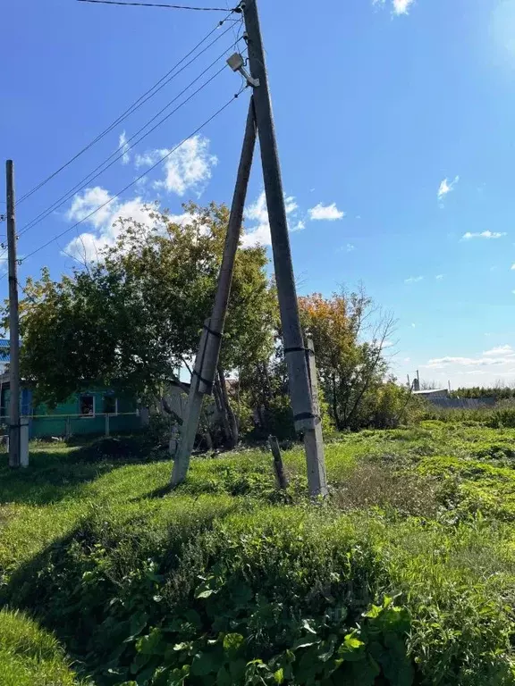 Участок в Курганская область, Курган ул. Молодежи (10.0 сот.) - Фото 0