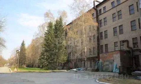Помещение свободного назначения в Новосибирская область, Новосибирск ... - Фото 1