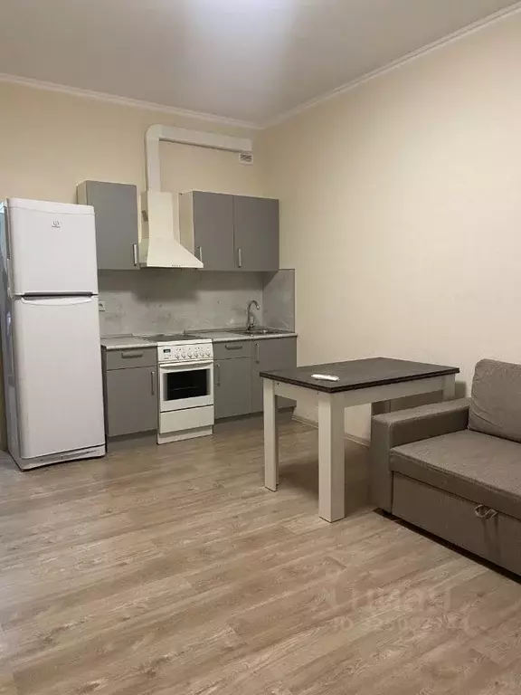 Студия Московская область, Солнечногорск городской округ, Голубое пгт ... - Фото 1