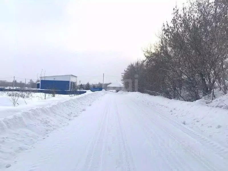 Участок в Новосибирская область, Новосибирский район, с. Ярково ... - Фото 2