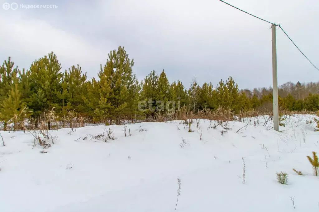 Участок в Нижнетавдинский район, деревня Московка, 5-я линия (6 м) - Фото 1