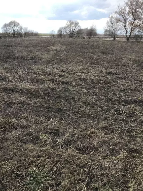 Участок в Ульяновская область, Ульяновский район, Зеленорощинское ... - Фото 2