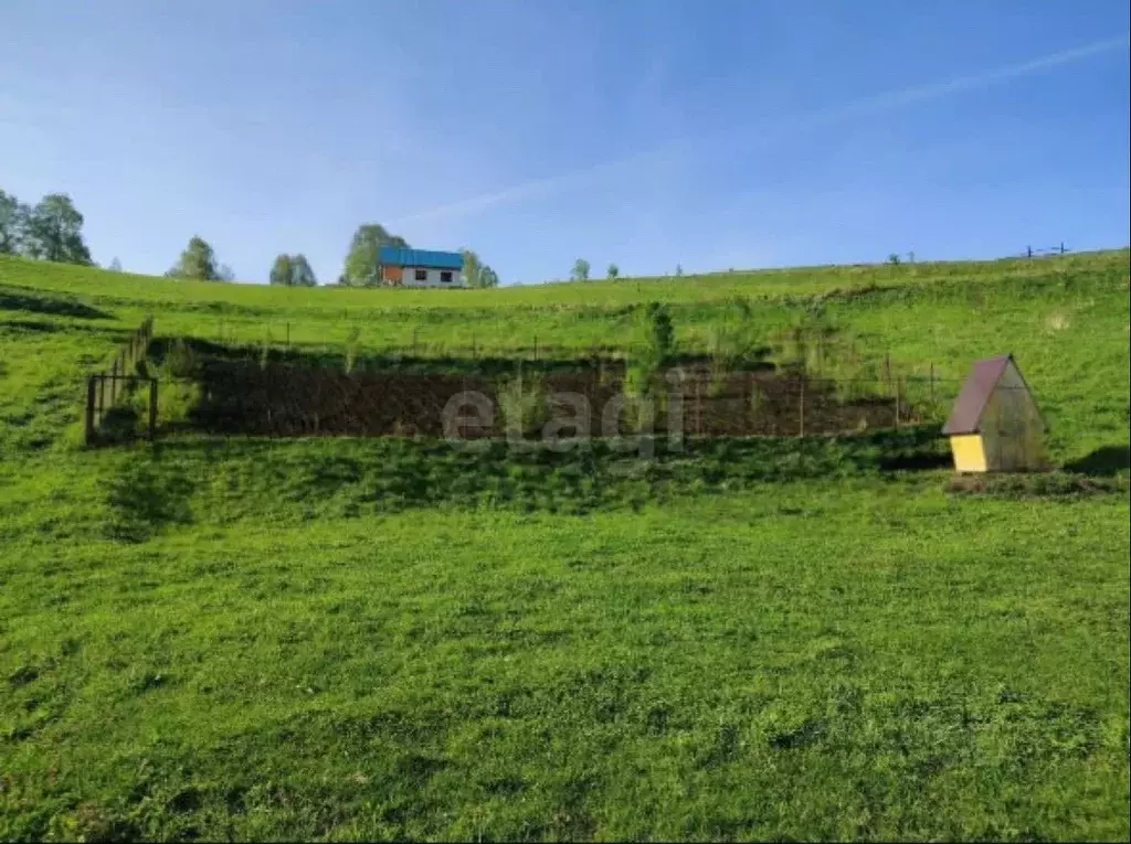 Участок в Алтай, Майминский район, с. Кызыл-Озек  (8.95 сот.) - Фото 1