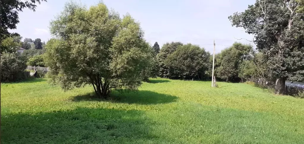 Дом в Калужская область, Козельск ул. Веденеева, 59 (50 м) - Фото 2