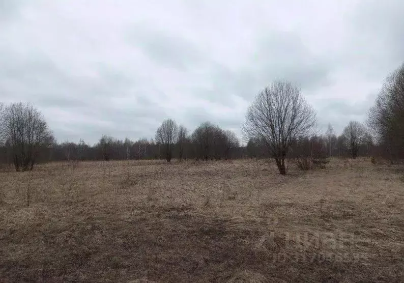 Участок в Московская область, Дмитровский муниципальный округ, д. ... - Фото 1