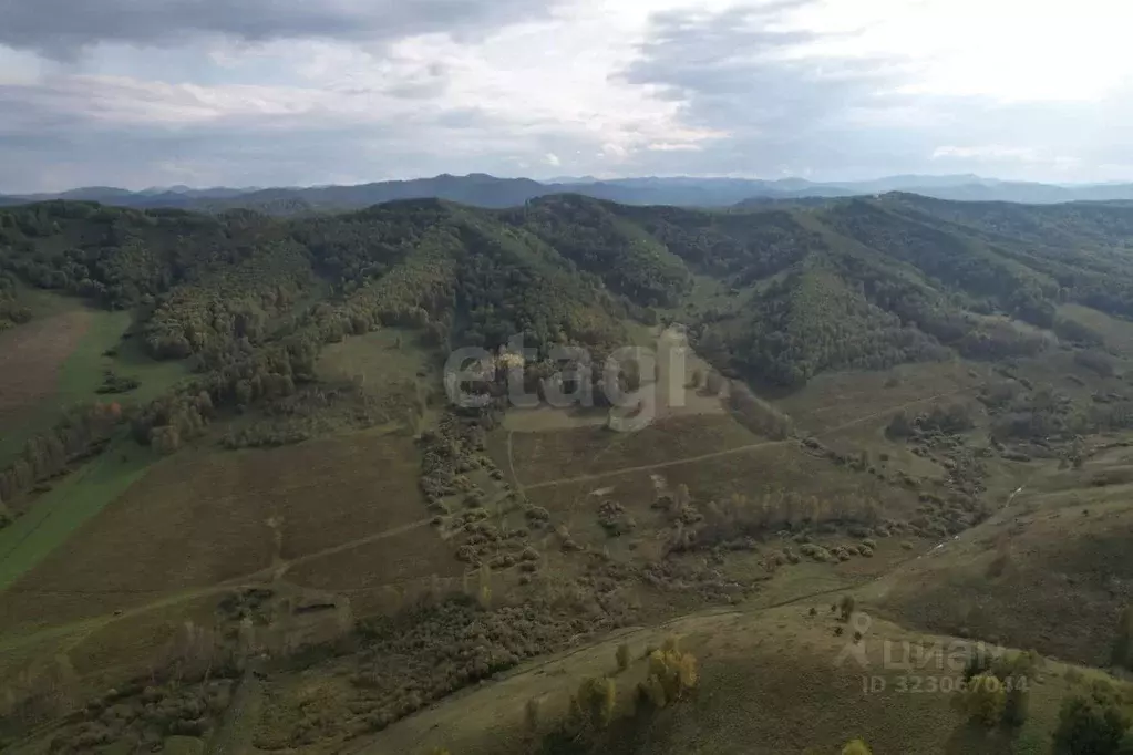 Участок в Алтайский край, Алтайский район, с. Нижнекаянча  (50000.0 ... - Фото 1