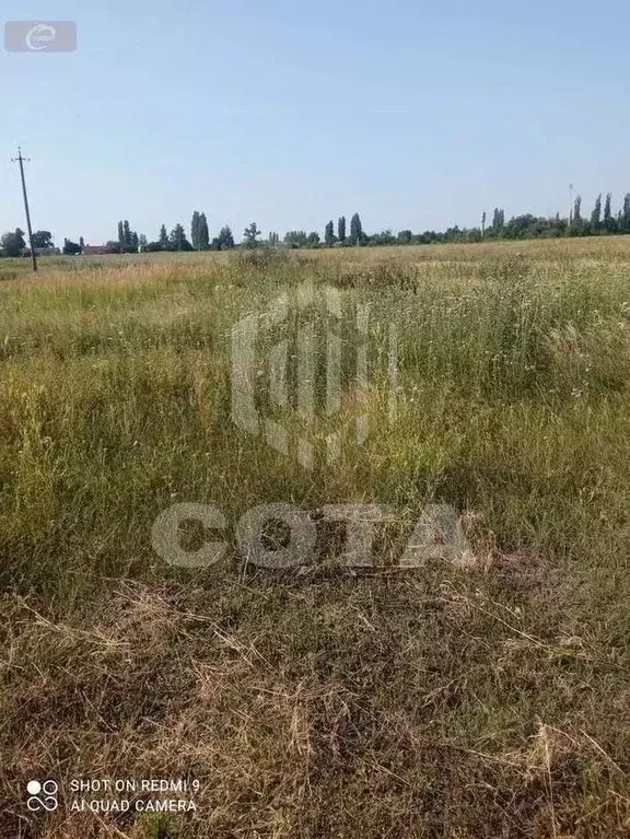Участок в Воронежская область, Новоусманский район, с. Орлово ... - Фото 2