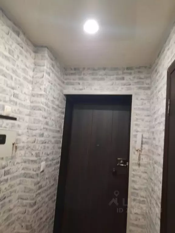 1-к кв. Самарская область, Тольятти Молодежный бул., 31 (30.0 м) - Фото 2