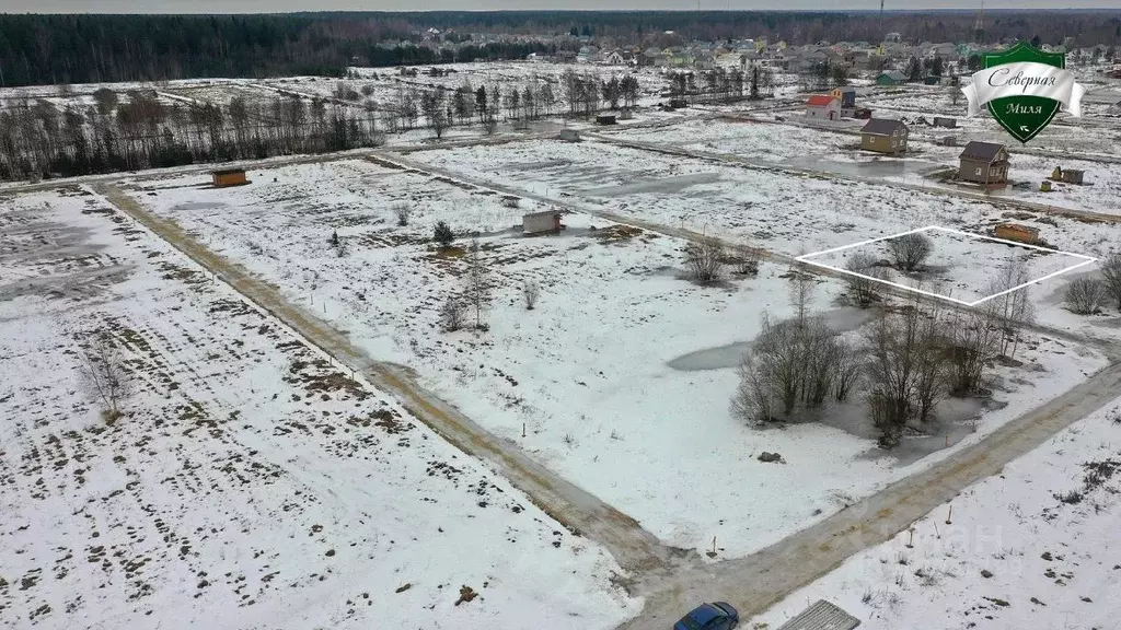 Участок в Ленинградская область, Всеволожский район, Романовское ... - Фото 0