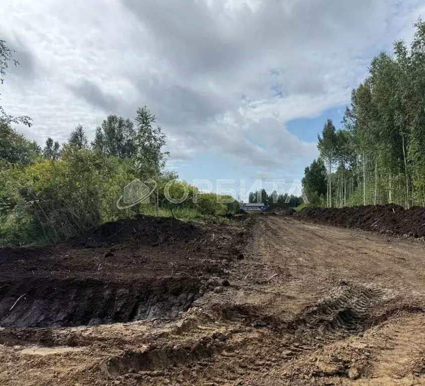 Участок в Тюменская область, Тюменский район, д. Решетникова  (6.16 ... - Фото 1