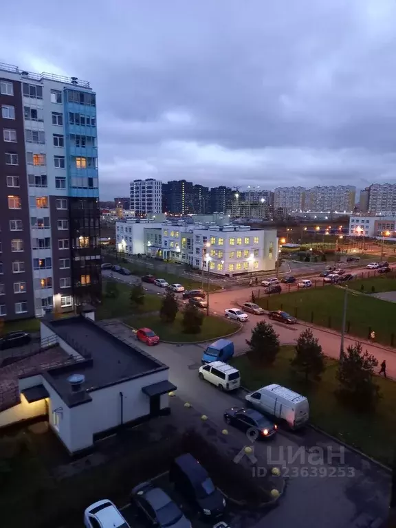 Студия Санкт-Петербург аллея Арцеуловская, 23к1 (24.4 м) - Фото 1