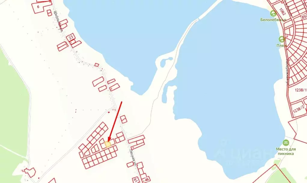Участок в Ульяновская область, Майнский район, Игнатовское городское ... - Фото 2