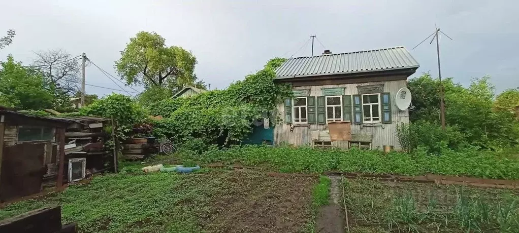 Дом в Амурская область, Благовещенск Конная ул., 170 (37 м) - Фото 1