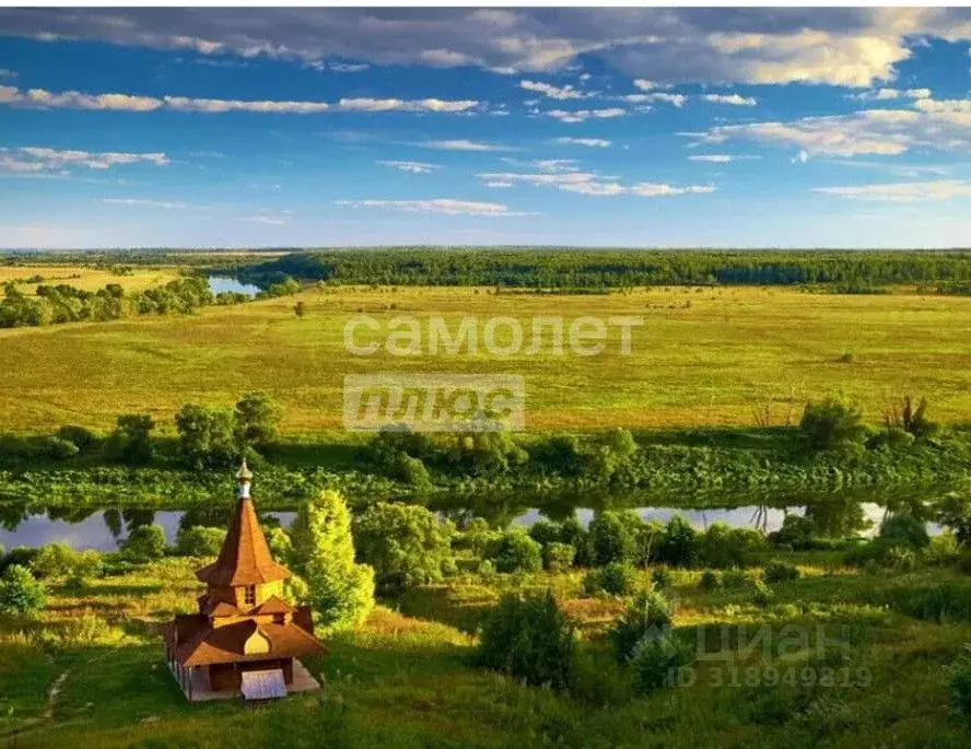 Участок в Калужская область, Перемышльский район, Гремячево с/пос, с. ... - Фото 0