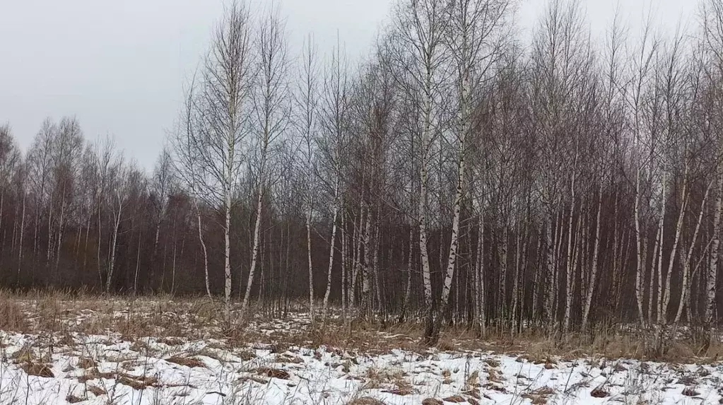 Участок в Московская область, Дмитровский муниципальный округ, д. ... - Фото 0