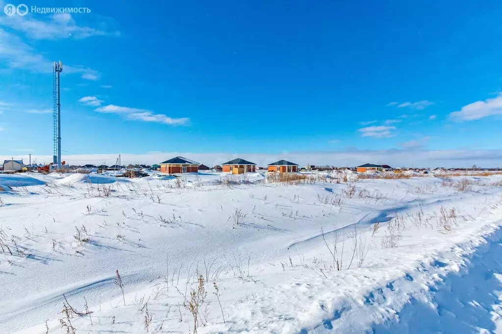 Участок в муниципальный округ Омский район, село Надеждино (11.91 м) - Фото 2