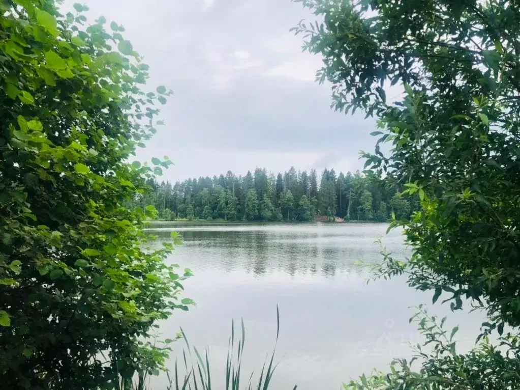 Участок в Ленинградская область, Выборгский район, Рощинское городское ... - Фото 1