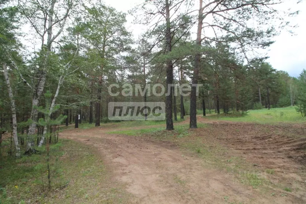 Участок в Забайкальский край, Читинский район, с. Смоленка  (99.74 ... - Фото 2