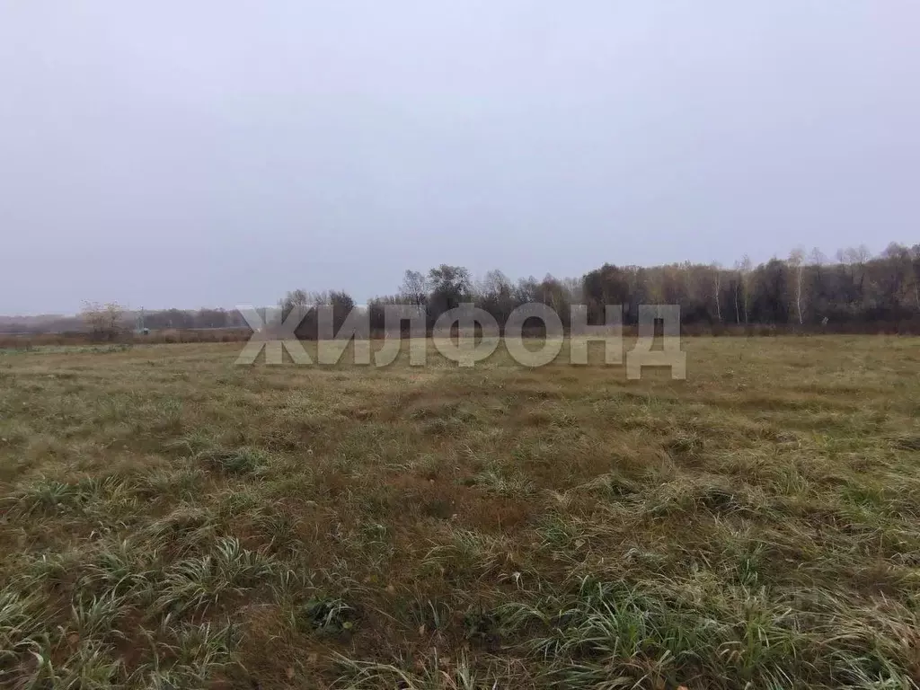 Участок в Новосибирская область, Новосибирский район, Верх-Тулинский ... - Фото 1