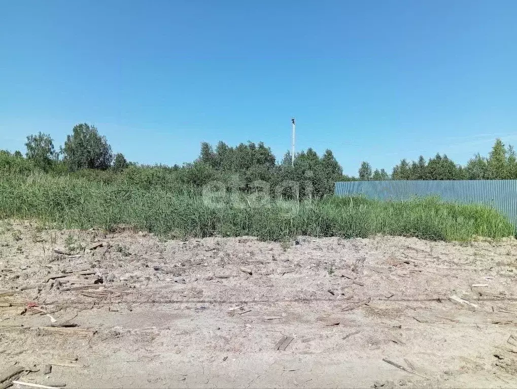 Участок в Тюменская область, Тюмень Ясень садовое товарищество, ул. ... - Фото 0