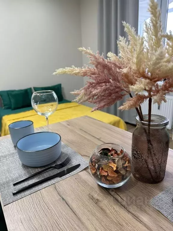 Студия Ямало-Ненецкий АО, Новый Уренгой ул. Имени В.Я. Петуха, 3/3 ... - Фото 2