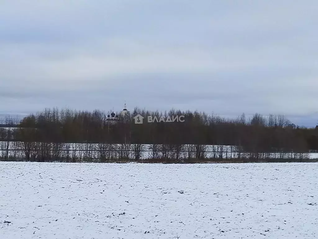 Участок в Вологодская область, д. Мидяново  (12.0 сот.) - Фото 0