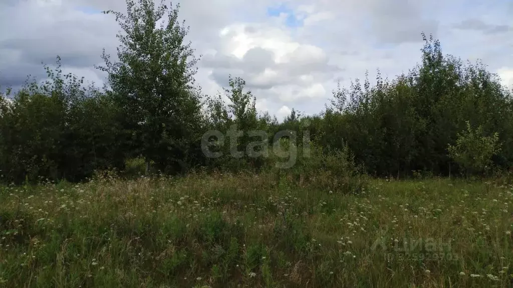 Участок в Свердловская область, Тугулымский муниципальный округ, д. ... - Фото 1