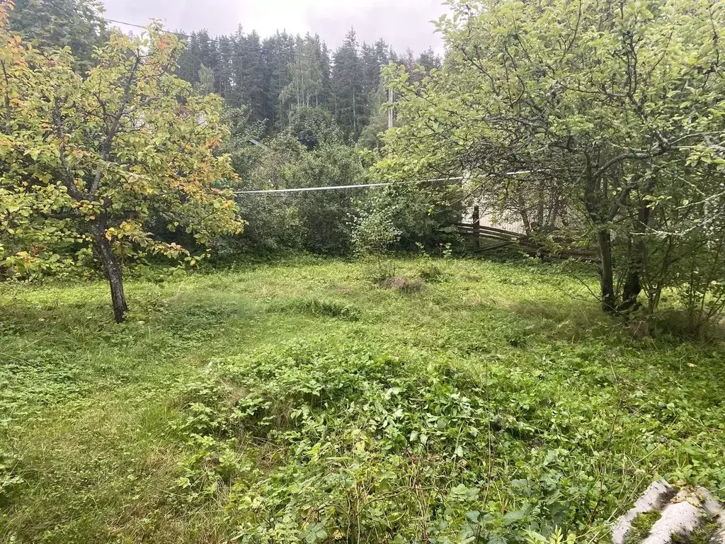 Дом в Ленинградская область, Выборгский район, Советское городское ... - Фото 2