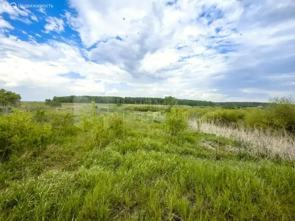 Участок в Тугулымский городской округ, деревня Гилёва, улица Мира (18 ... - Фото 0