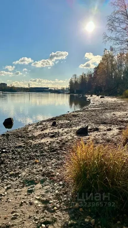 Участок в Ленинградская область, Всеволожский район, Свердловское ... - Фото 1