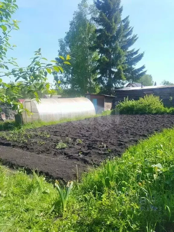 Дом в Новосибирская область, Мошковский район, Восход СНТ ул. Дачная ... - Фото 1