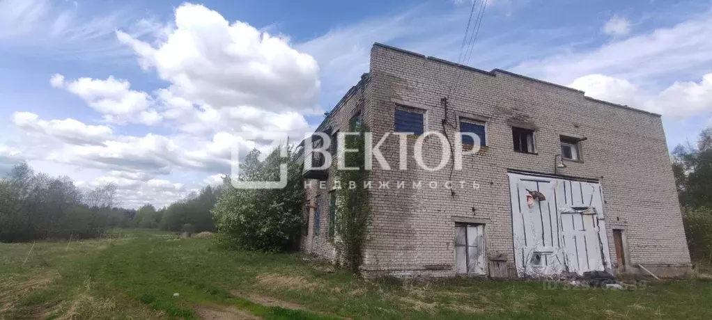 Производственное помещение в Ярославская область, Борисоглебский ... - Фото 2