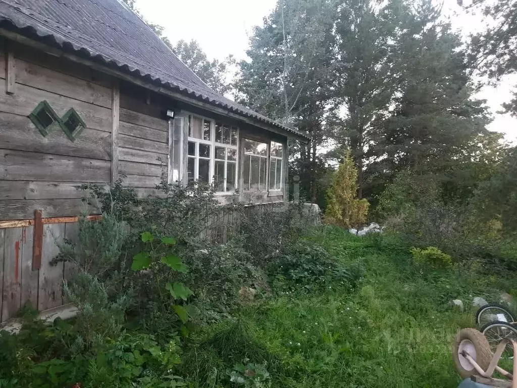 Дом в Псковская область, Пыталовский муниципальный округ, д. Магиново  ... - Фото 1