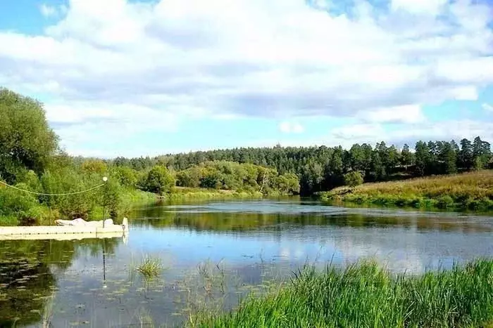 Участок в Московская область, Одинцовский городской округ, ... - Фото 0