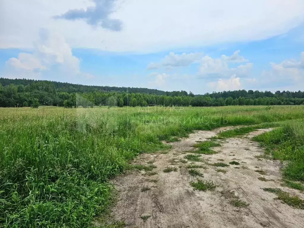 Участок в Тюменская область, Тюменский муниципальный округ, д. ... - Фото 2