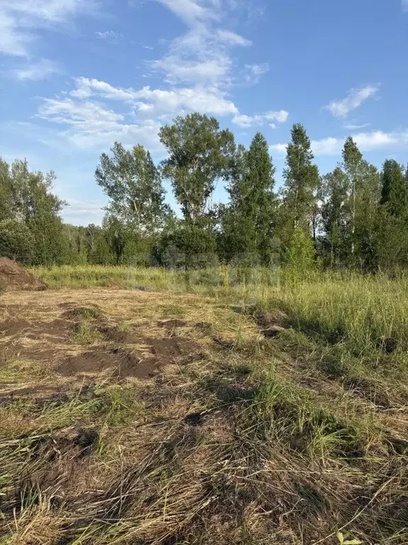 Участок в Алтай, Майминский район, с. Подгорное ул. Прибрежная (15.0 ... - Фото 1