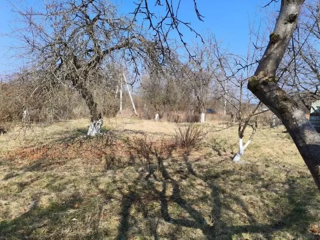 Участок 6 сот. (СНТ, ДНП) - Фото 0